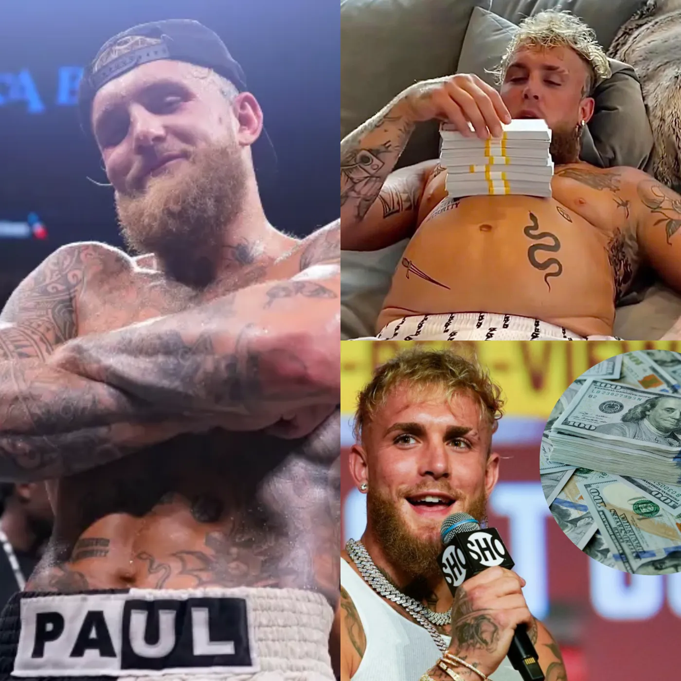 Jake Paul: Counting Money Awards on His Lap