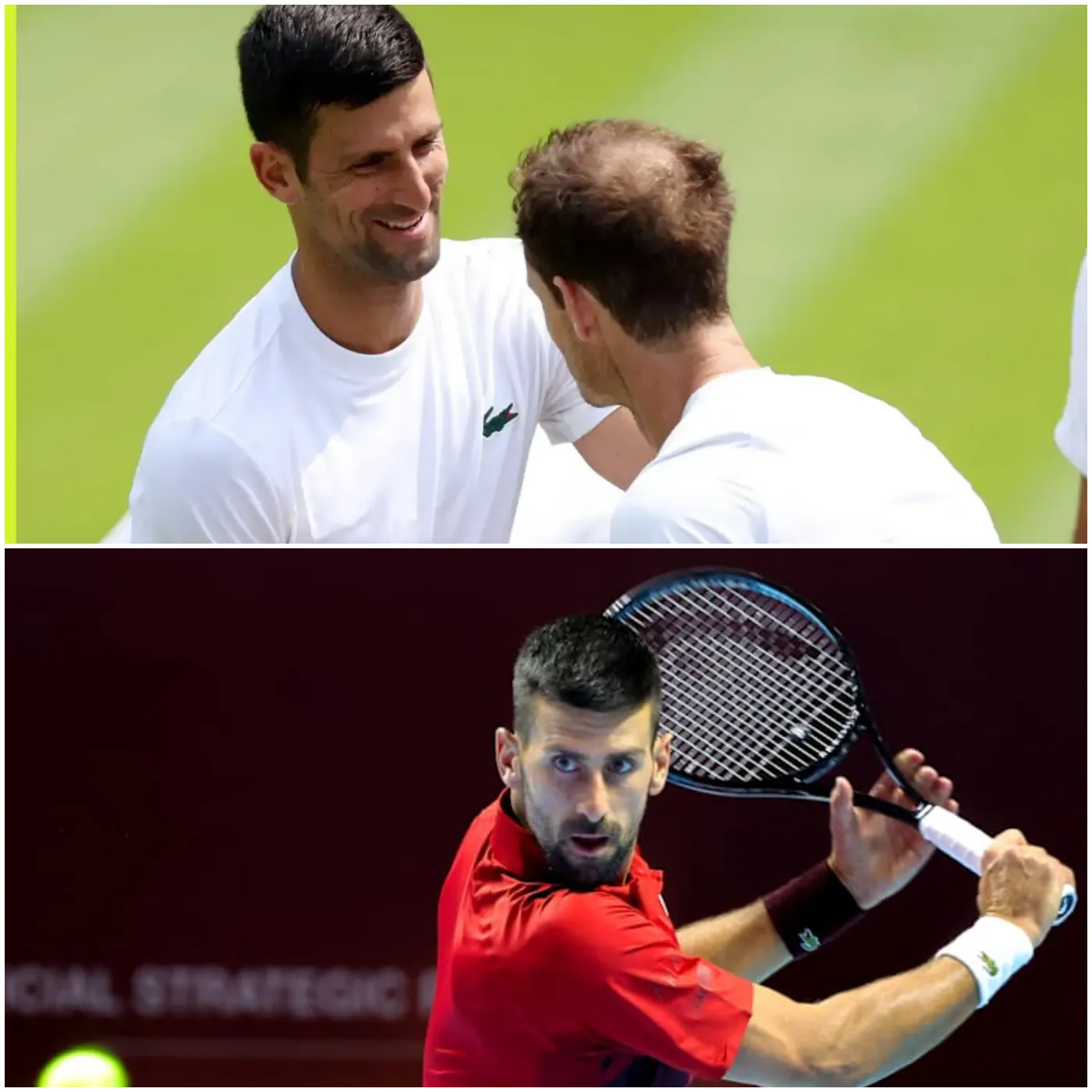 Novak Djokovic Chooses Andy Murray as “The Perfect Coach” in a Shocking Decision