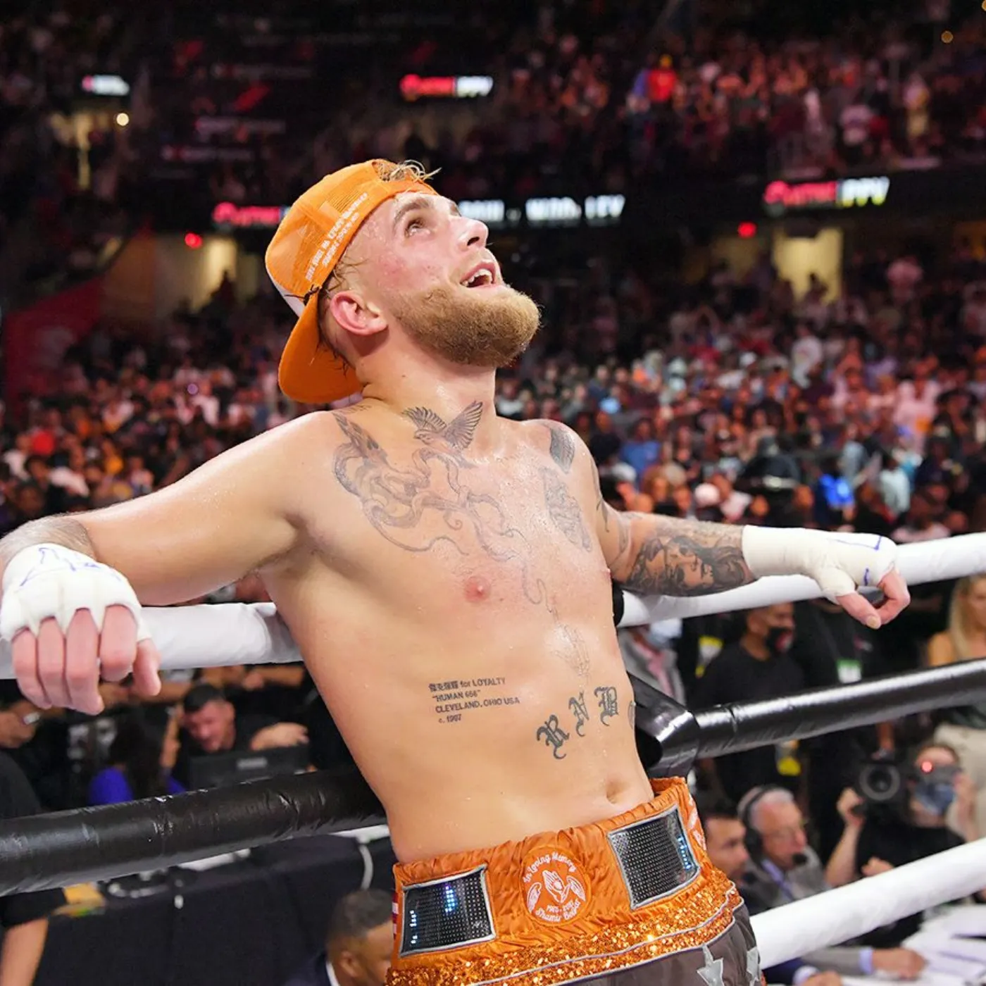 image_674d39ffa29b7 Conor McGregor: A Career in Crisis and the Uncertain Path Ahead
