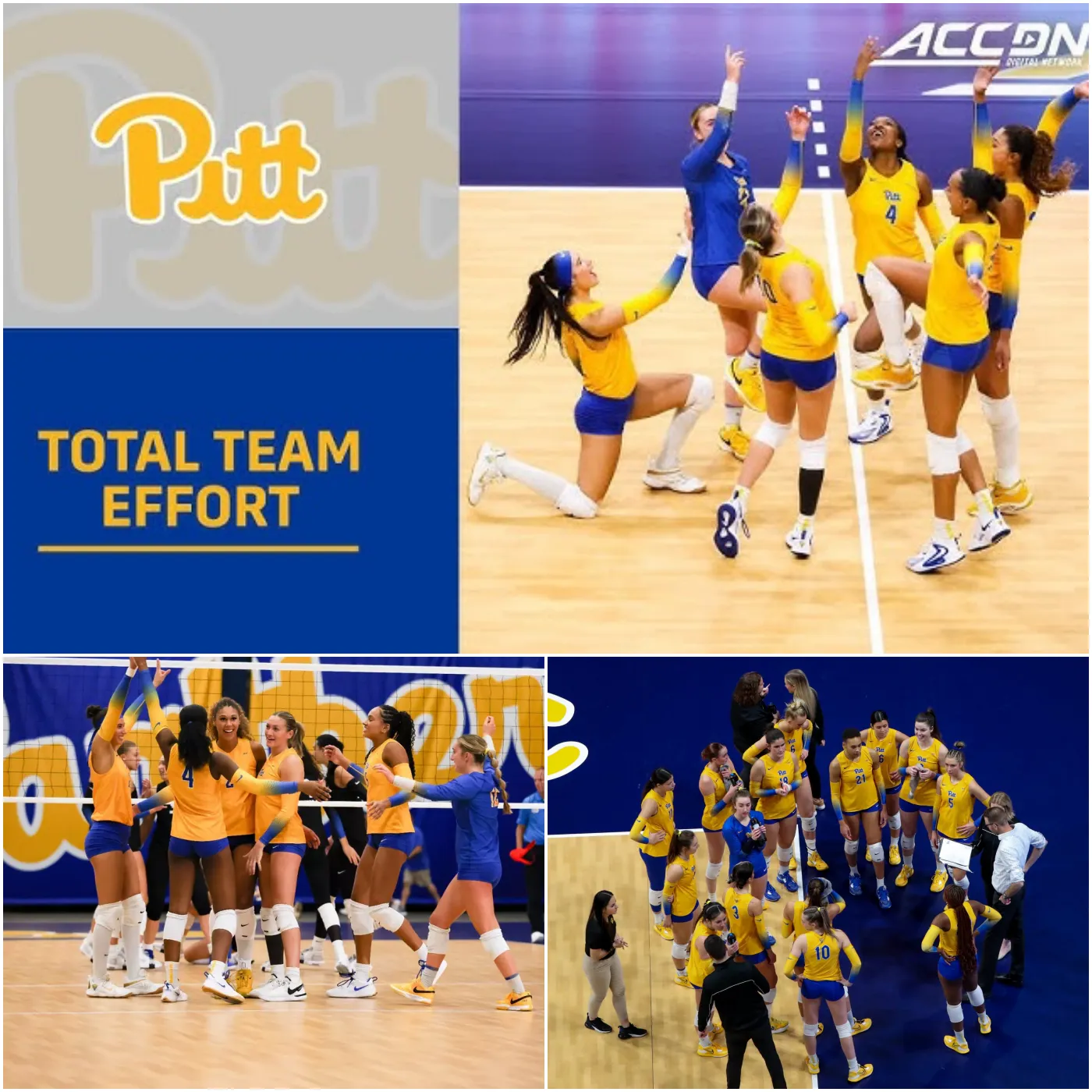 Pitt Volleyball: The Dominant Force Heading into the NCAA Tournament