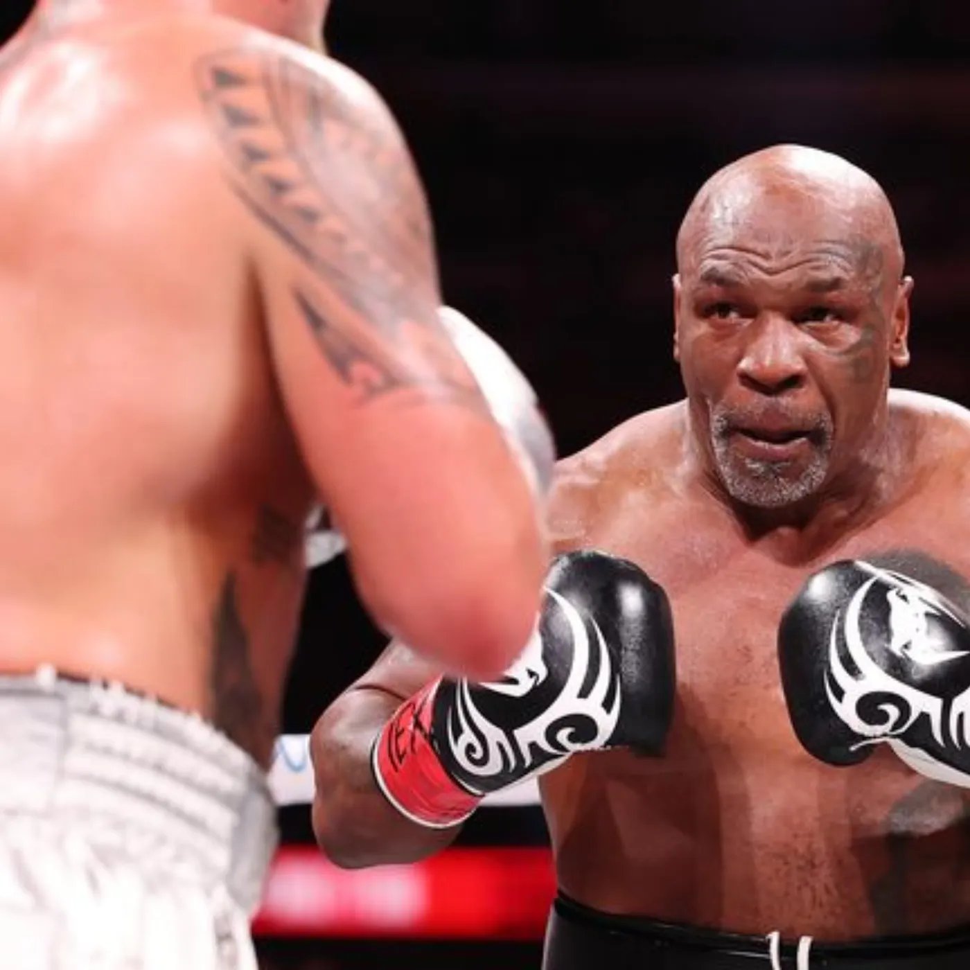 image_674e6589b7d0e Mike Tyson and Jake Paul: A Negotiation Match for the Ages