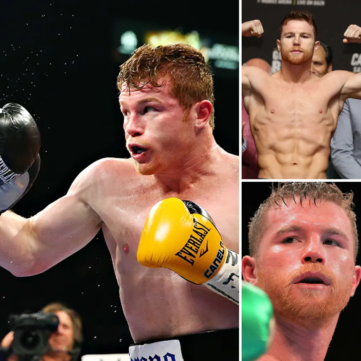 Canelo Álvarez: The Undisputed Champion and His Undefeated Streak