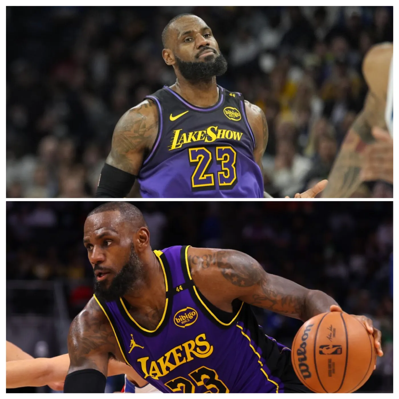 LeBron James, the Los Angeles Lakers, and the Search for a ‘Laser’ Shooter