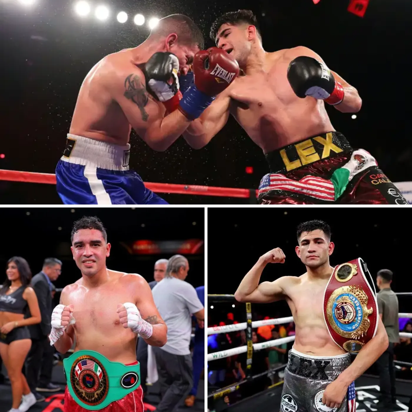 December Undercard for Alexis Rocha vs. Raul Curiel: What Fans Need to Know