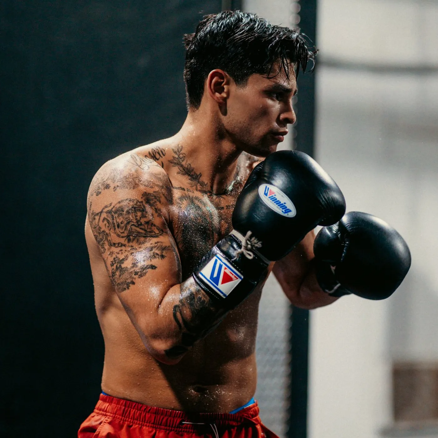 image_67511e336f22f Ryan Garcia: The Boxer Looking to End Jake Paul's Career and His Secret Romance with Shawn Mendes