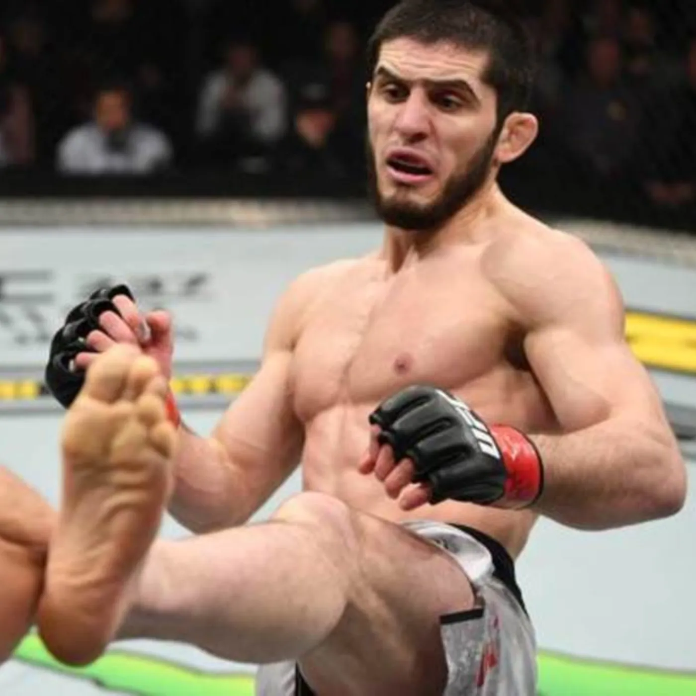 image_6751474fd90cf Blood, Revenge, and Glory: Islam Makhachev vs. Arman Tsarukyan Rematch to Explode at UFC 311!