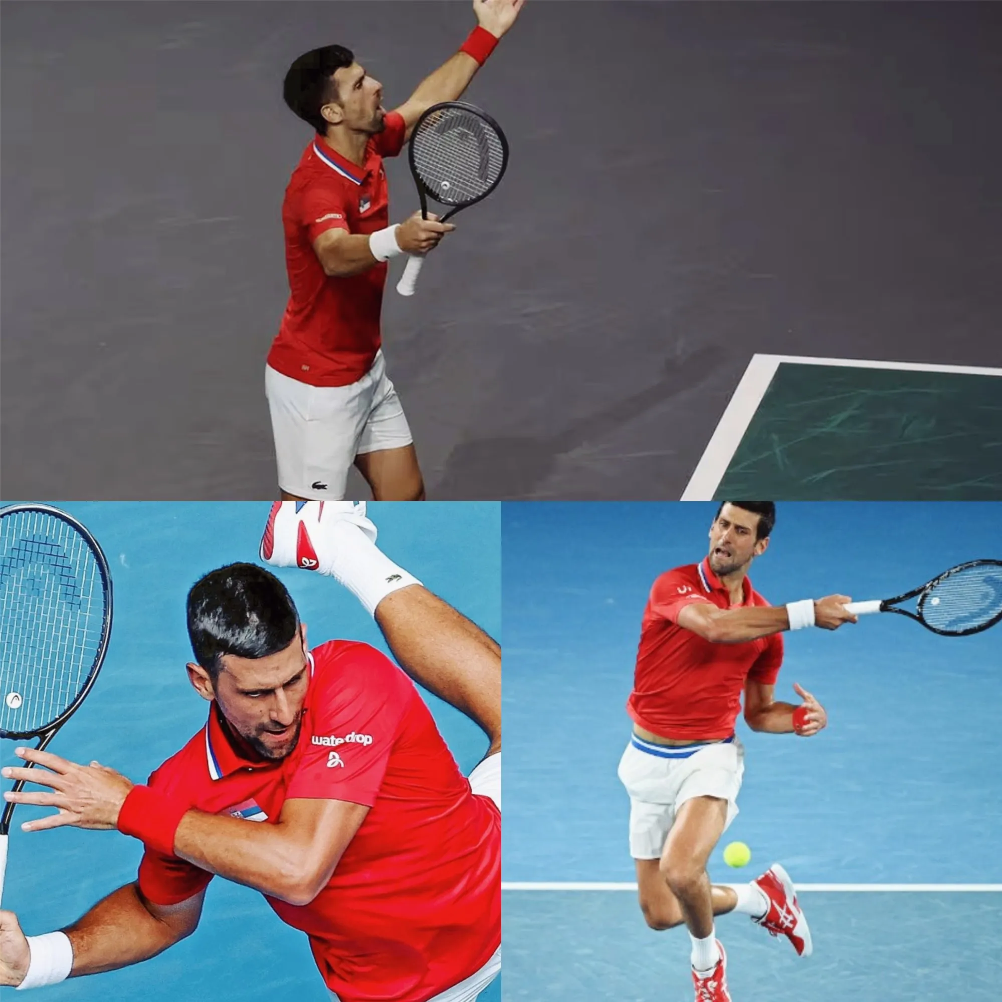 image_6753bdb96333a Epic Showdown Ahead: Sinner and 10-Time Champion Djokovic Lead the 2025 Australian Open Field!