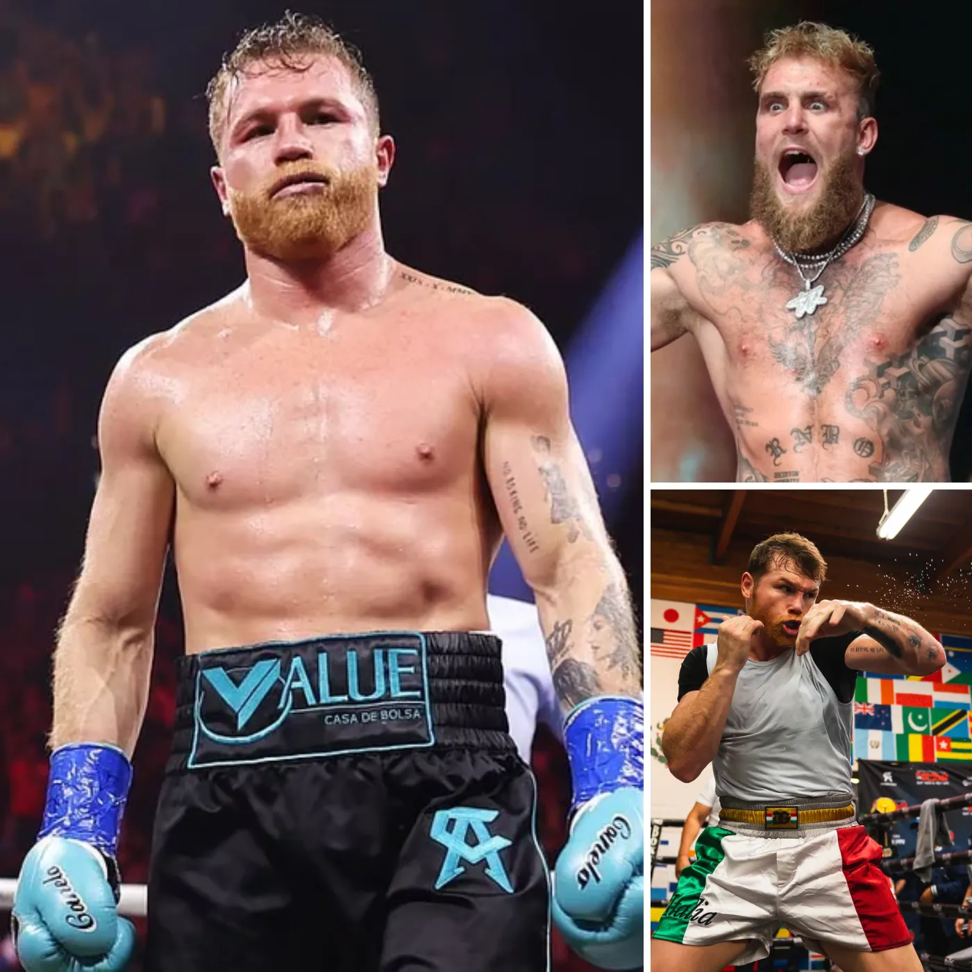 Mike tyson couldn’t be lost by old age but Canelo Alvarez will remake Farity