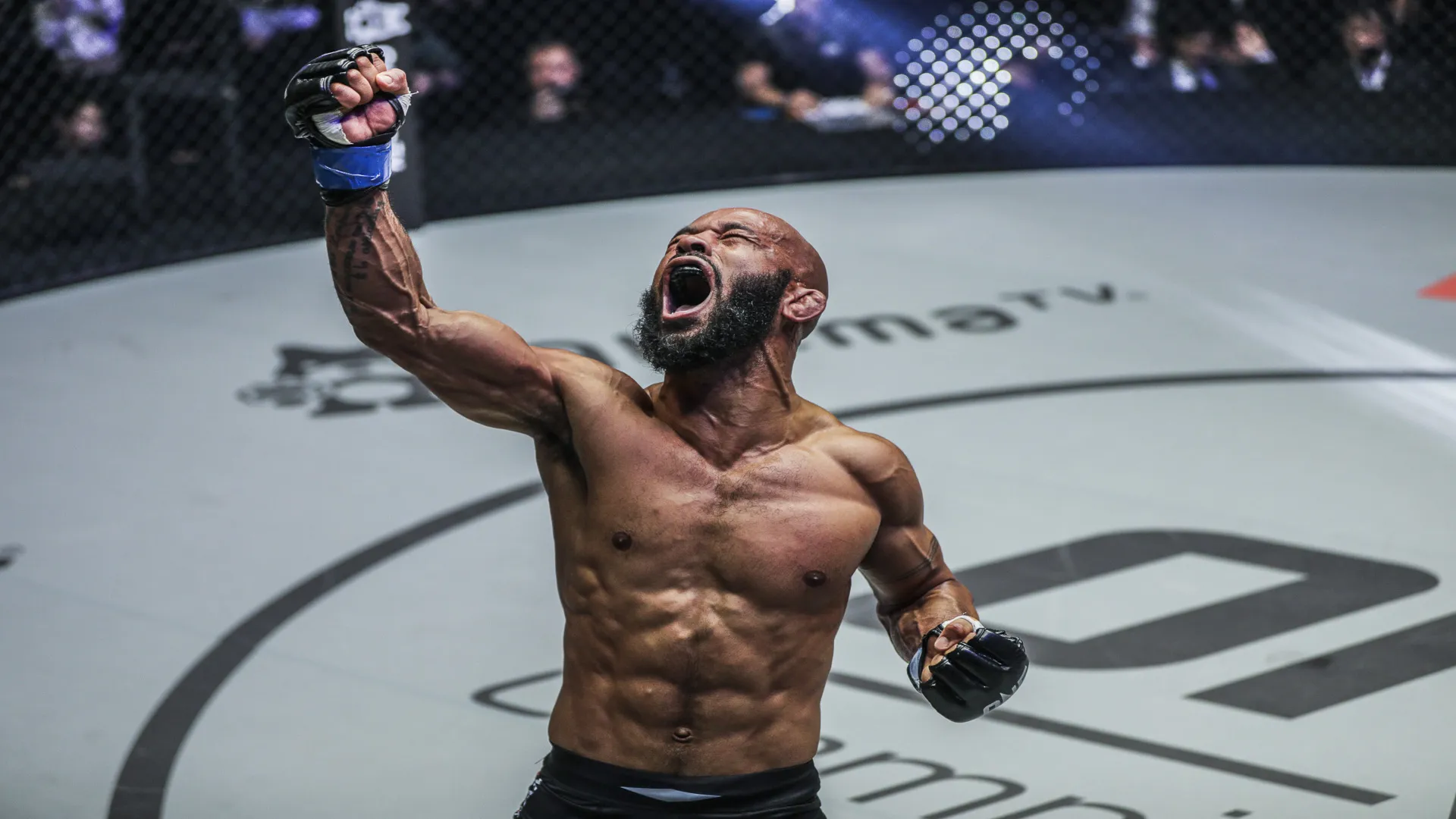 image_6756a053287e3 Demetrious Johnson shuts down UFC comeback rumors after Pantoja’s callout
