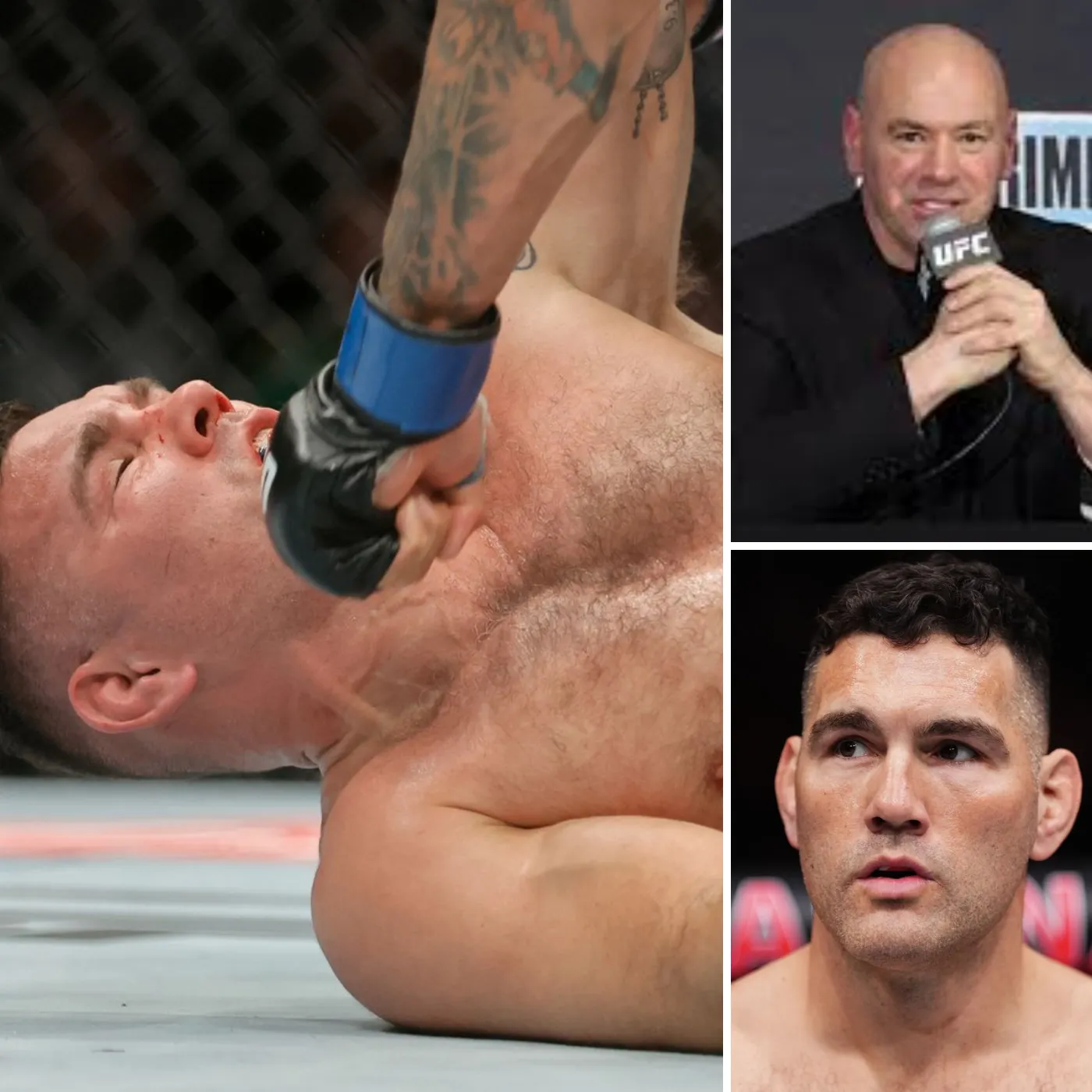 Dana White’s Shocking Retirement Call for UFC Veterans After UFC 310