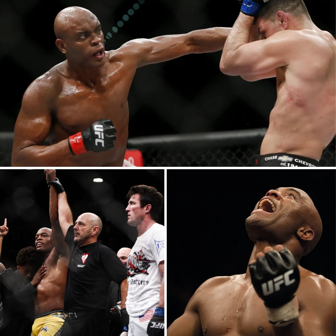 The Legendary Journey of Anderson Silva on His Path to Becoming a Fighter Who Strikes Fear in His Opponents.