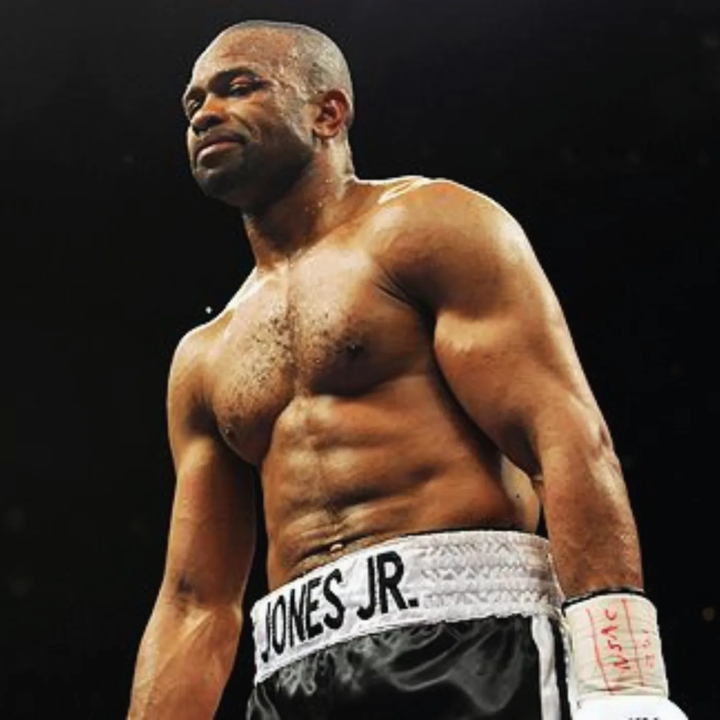 image_67579b9724abc Roy Jones Jr.’s Dream Fights for 2025: The Matchups Every Boxing Fan Wants to See
