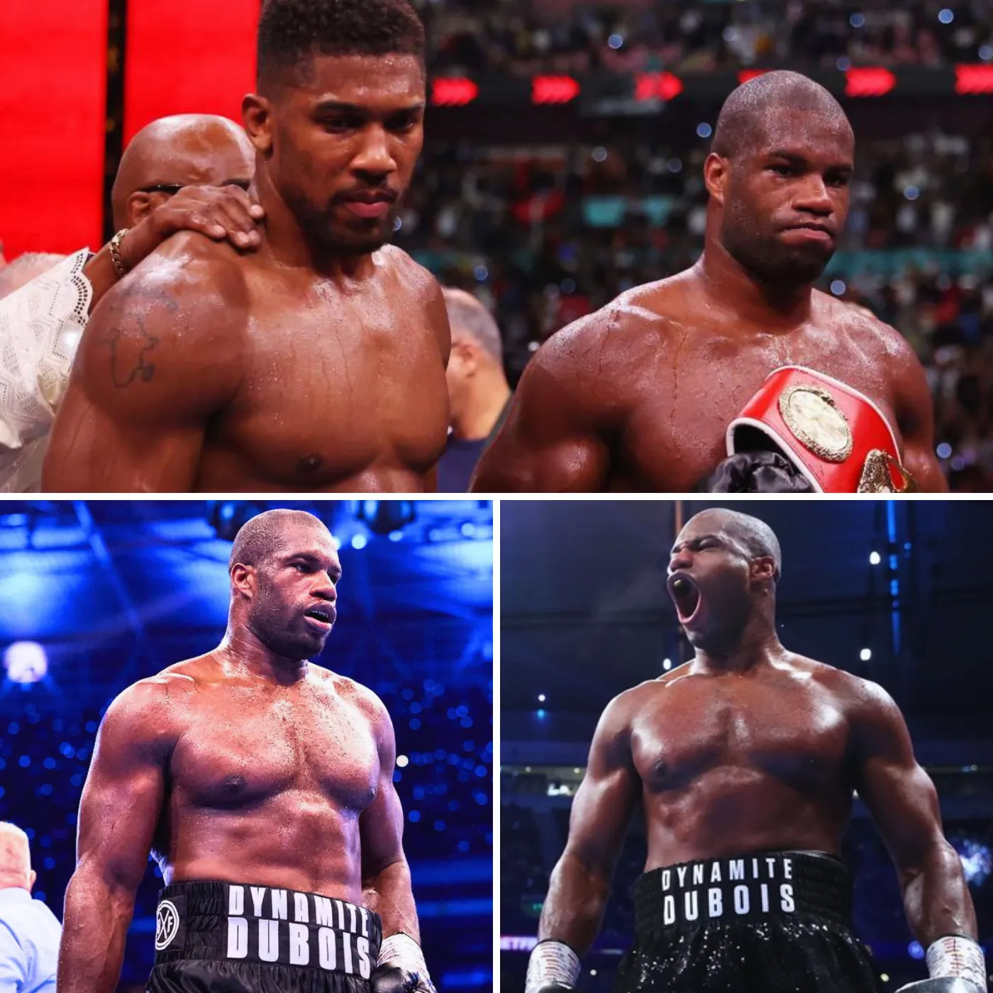 Daniel Dubois Targeting Undisputed Heavyweight Glory