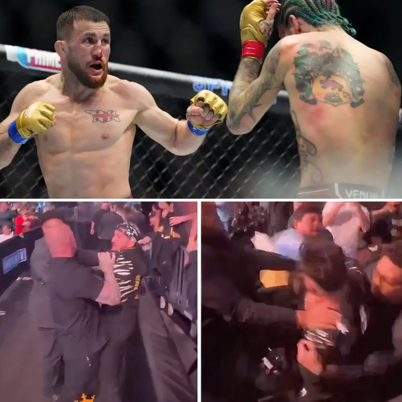 Merab Dvalishvili’s Team Finally Speaks Out on UFC 310 Drama: The Plot Twist You Didn’t See Coming