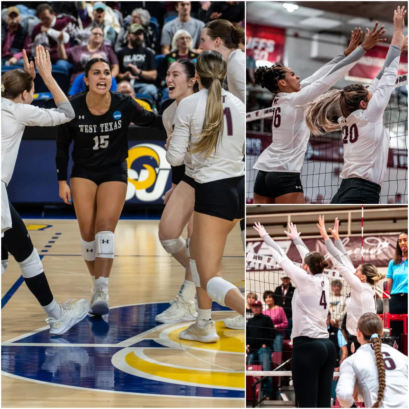 image_675a4ae7c6362 Lady Buffs Volleyball Dominance: Three Players Named All-Americans