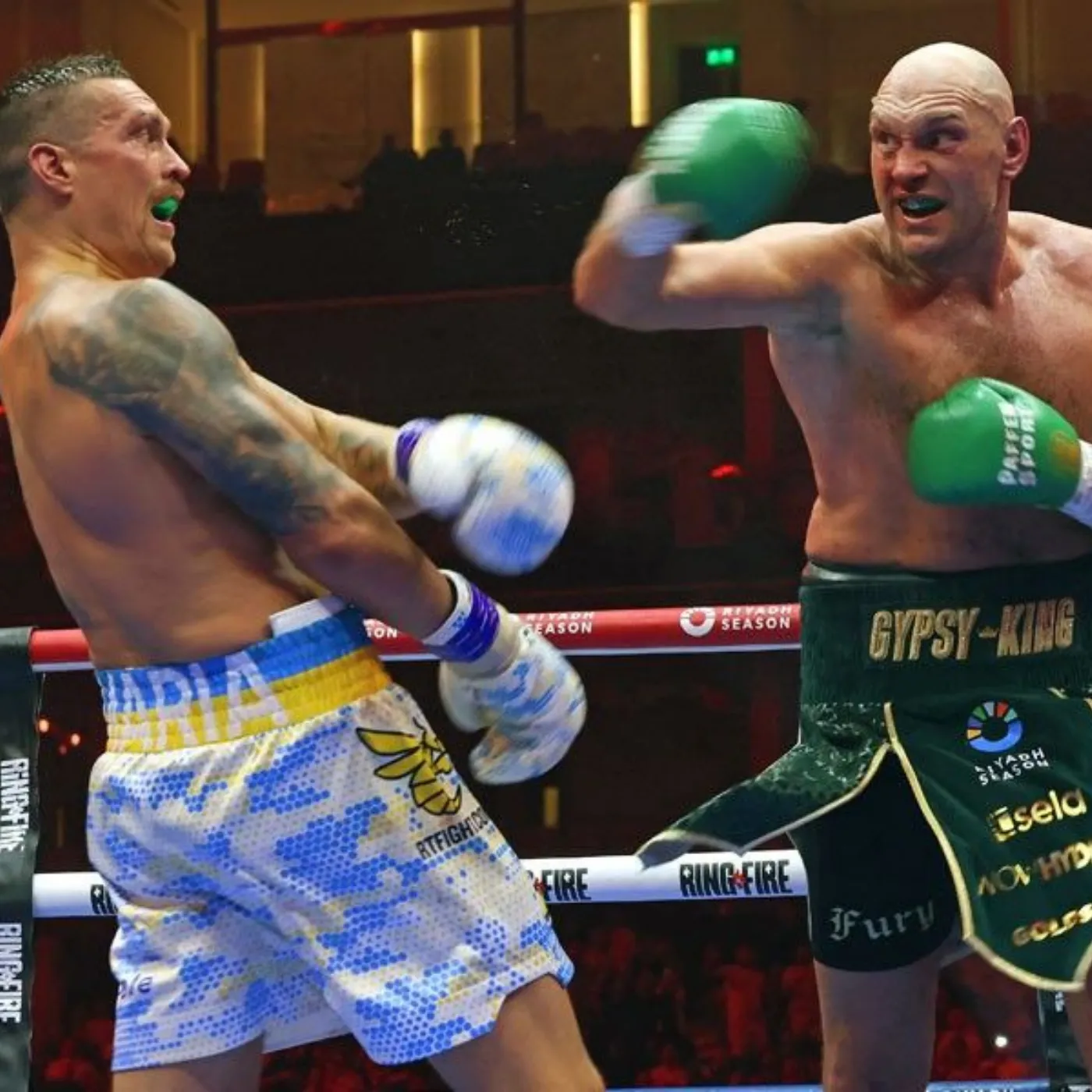 image_675a8e032930b Fury Gets a Reality Check: Pajkic Delivers the First Knockdown of the Brit's Career