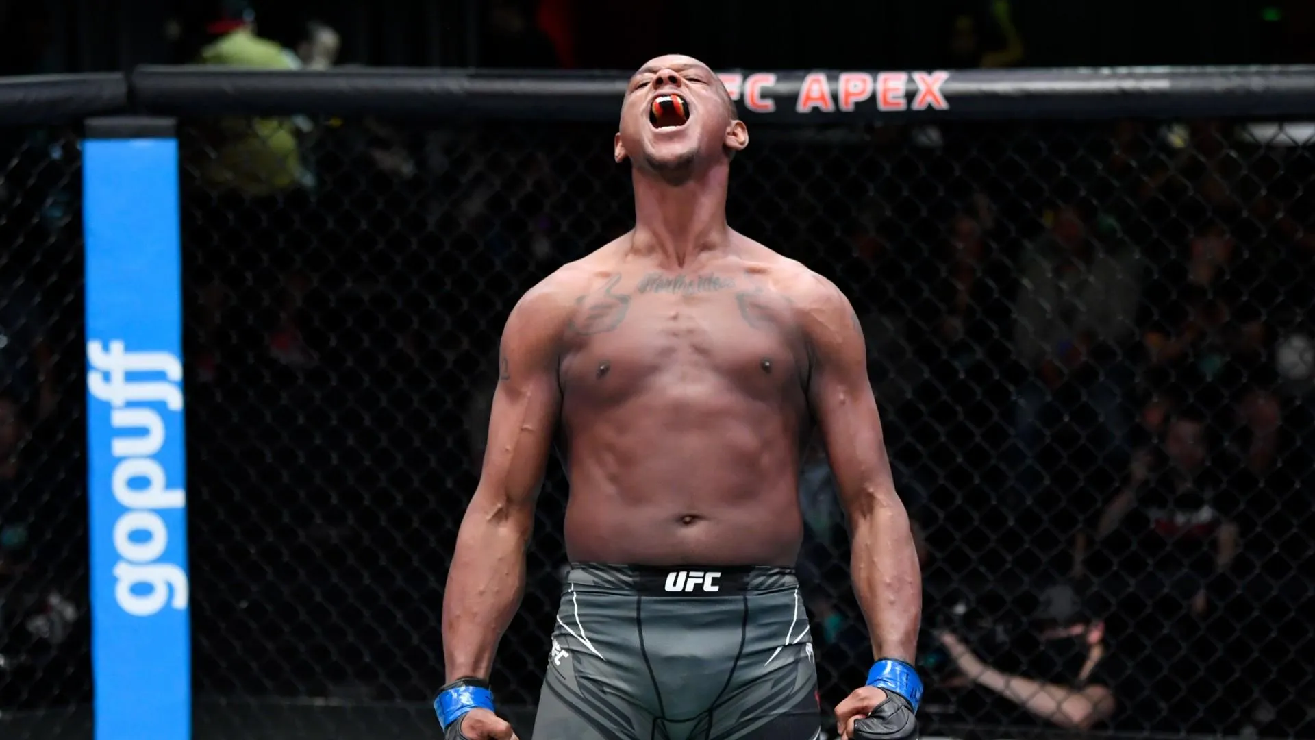 image_675a994bd4a12 Jamahal Hill was "scolded" by Alex Pereira's former kickboxing rival