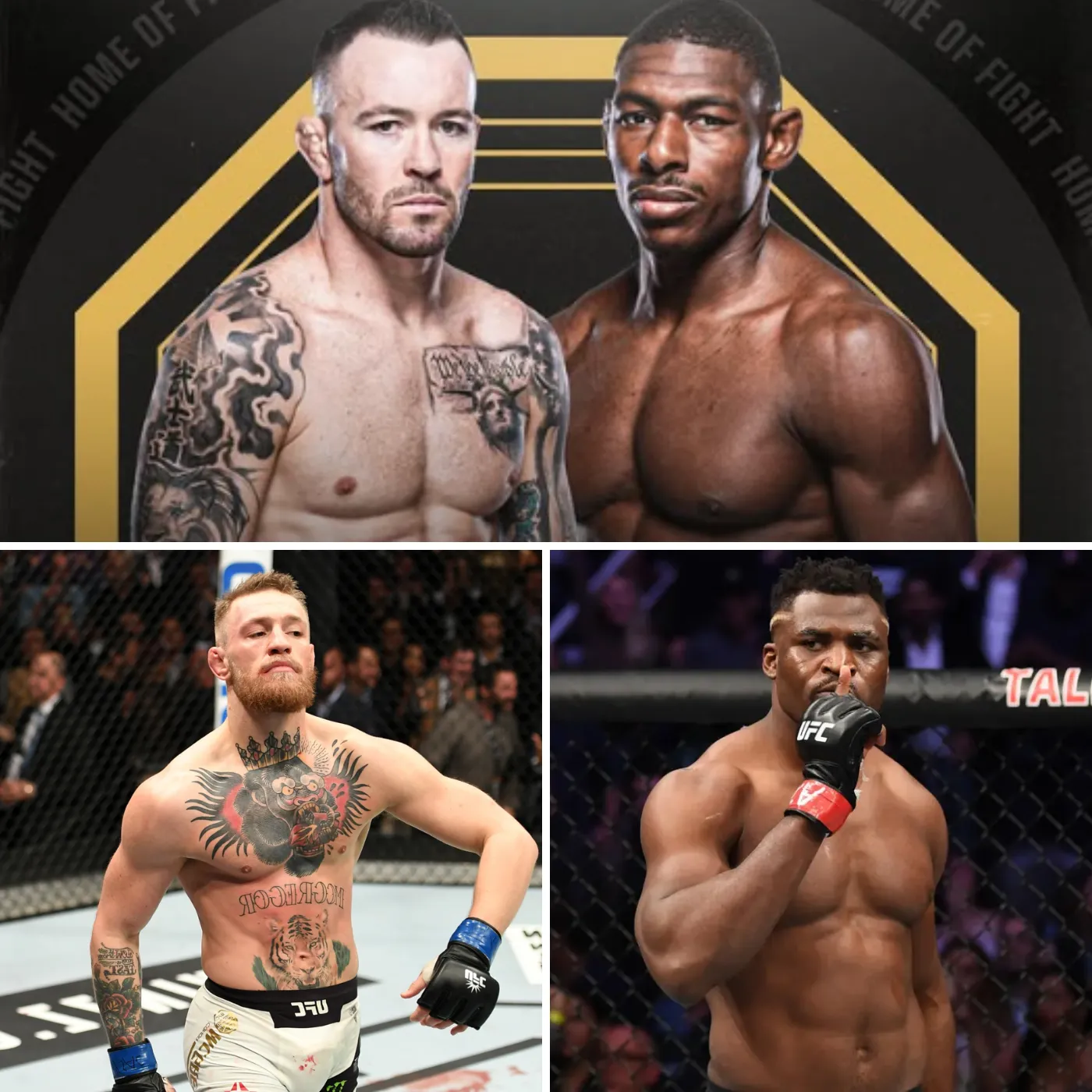 McGregor was “PUNISHED” by Ngannou: Psychological warfare went too far, who will be the real winner