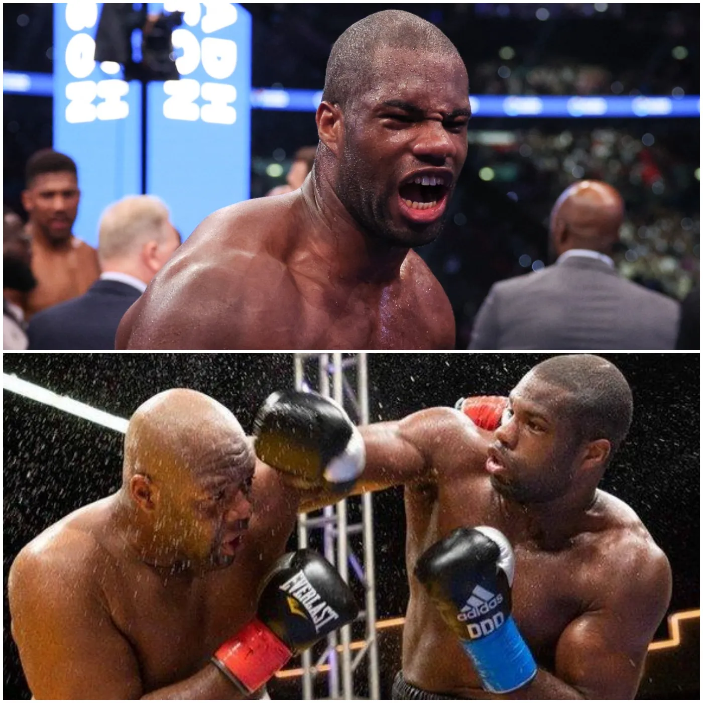 image_675bd1920b189 Ambition to Dominate the Heavyweight Division - Dubois Challenges All Opponents!