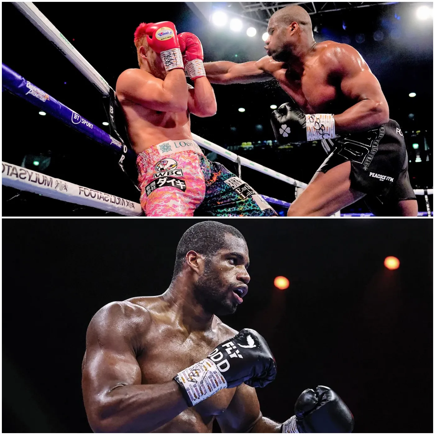 image_675be34195415 Dubois Sends Challenge to His Opponents - "I Will Dominate All!"