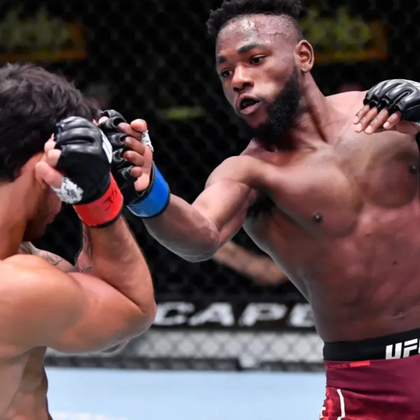 image_675fc5c9bfc1c Manel Kape Is Overlooked After UFC Tampa Despite an Impressive Win, The Reason for Dana White's Refusal