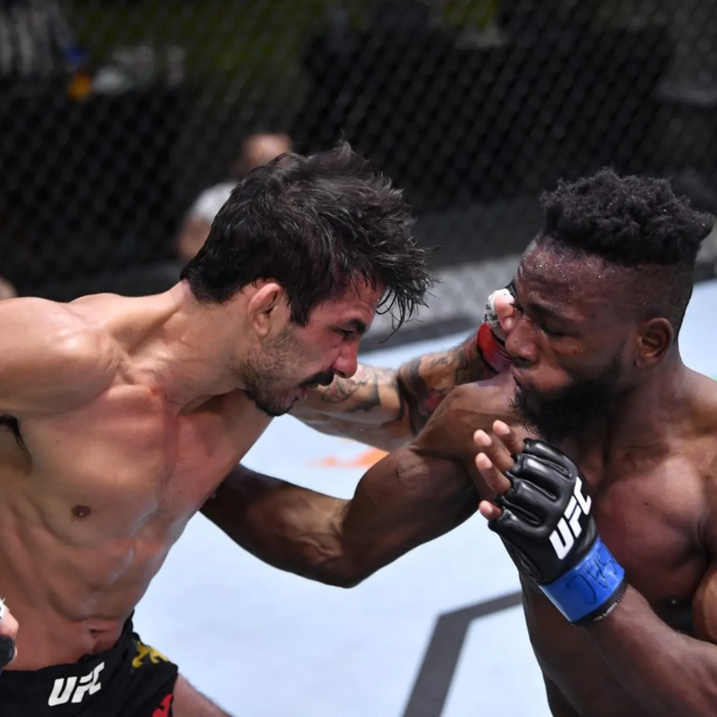 image_675fc5cc11c90 Manel Kape Is Overlooked After UFC Tampa Despite an Impressive Win, The Reason for Dana White's Refusal