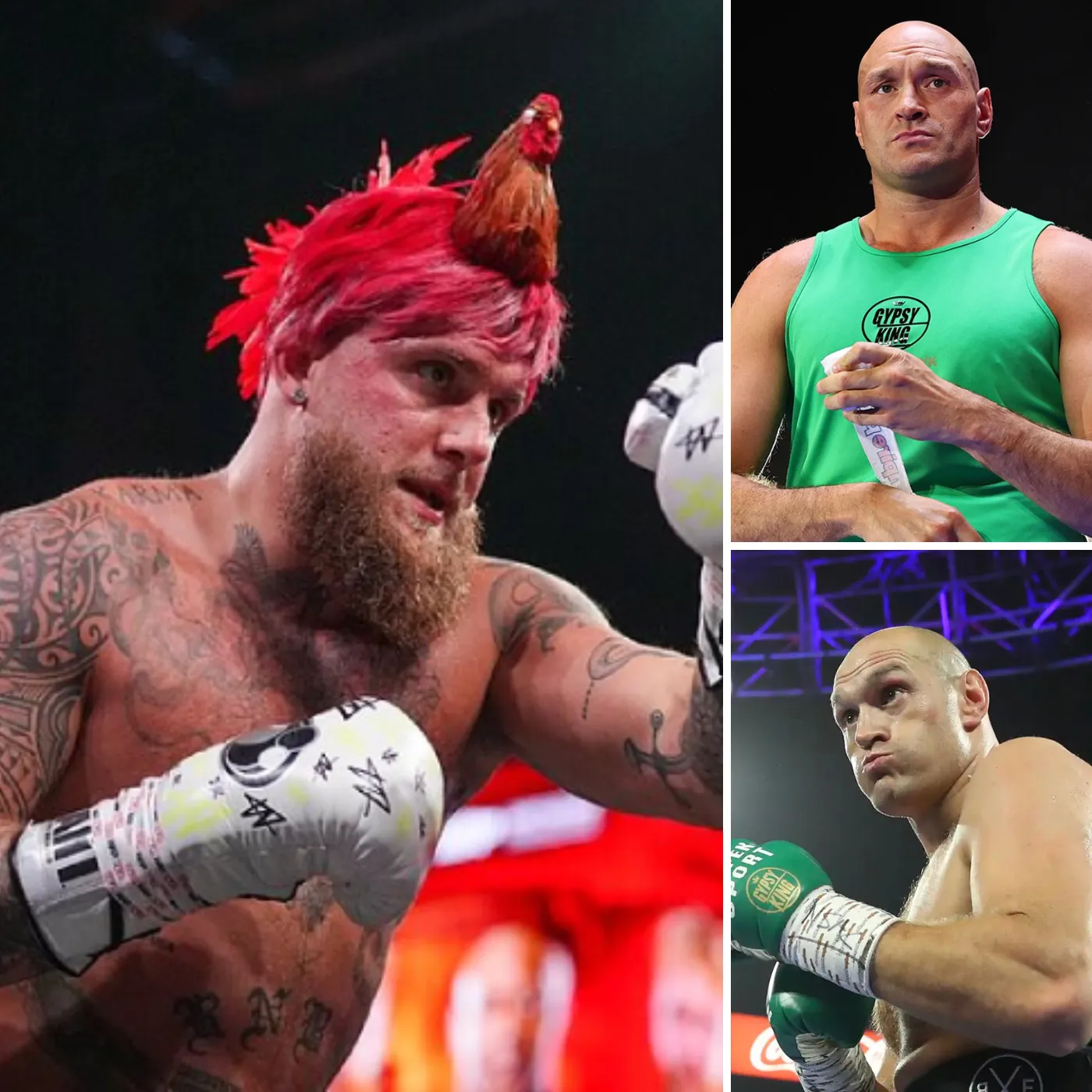 When Jake Paul Calls Tyson Fury a “Golden Goose”- Stars Line Up to Challenge!