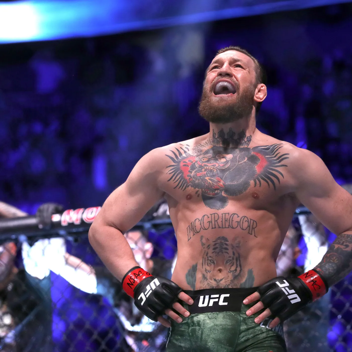 image_6762255a43fd6 Conor McGregor Refuses Jake Paul to make the Rise of a Controversial Boxing Star