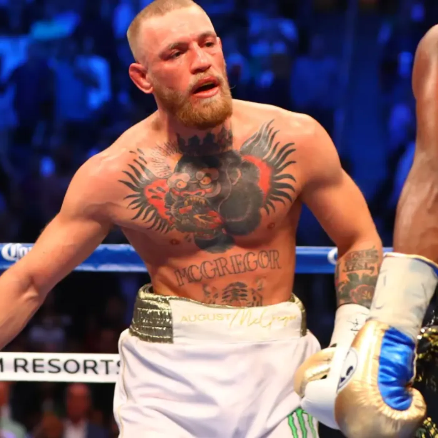 image_6764e58a5b8ab Conor McGregor Manifests rich asset to kick war with Daniel Dubois fighting level