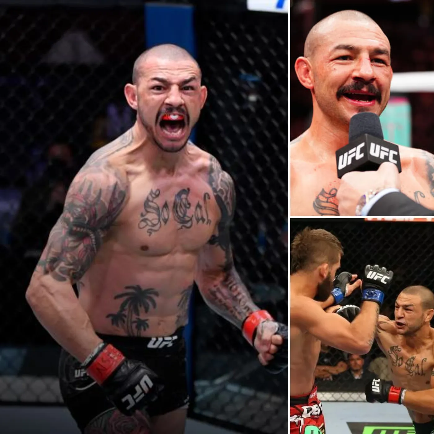 Cub Swanson Proud of His Resilience in His Career, Emphasizing ‘The D’Arce Didn’t Exist When I Started