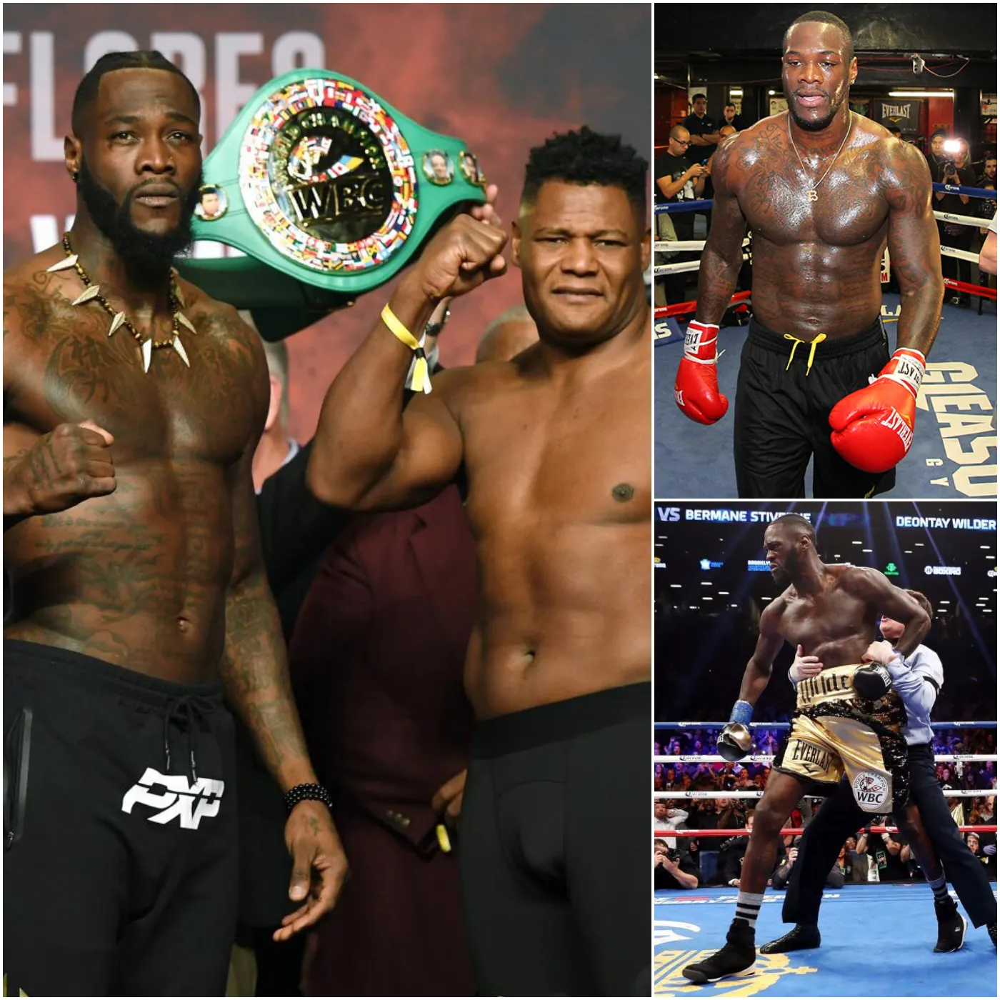 Deontay Wilder is the champion or the destroyer of boxing.