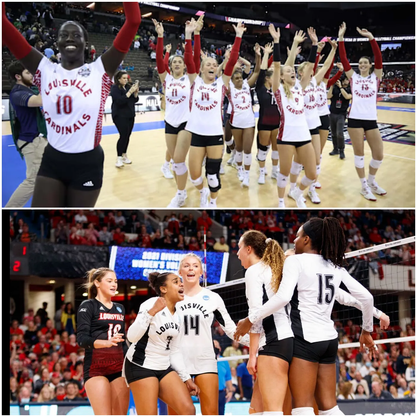 Louisville to Host NCAA Volleyball Championship. Your Ultimate Guide