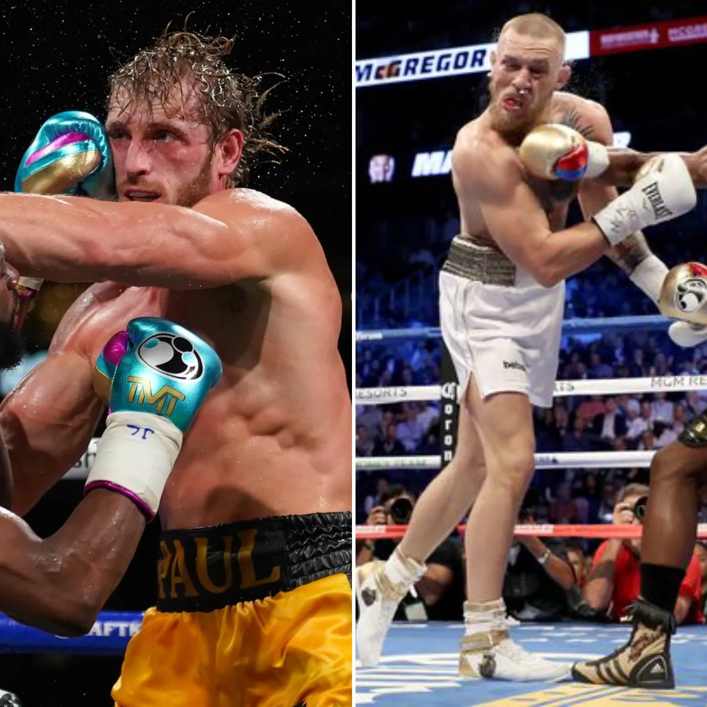 image_676622019eac6 The $100 Million Showdown Logan Paul Secures Bout with McGregor, Defeats Jake Paul