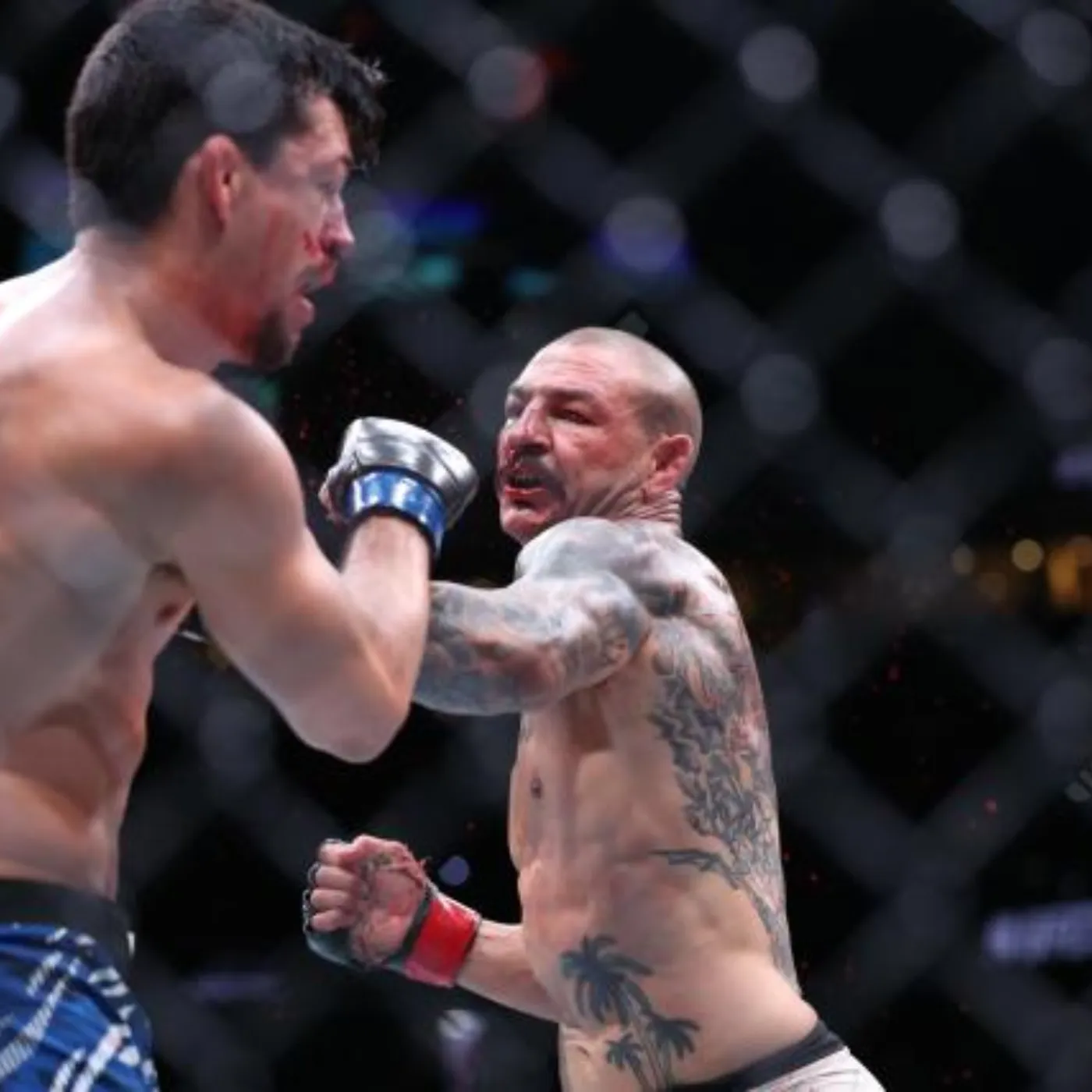 image_67662ad1ee004 Cub Swanson Speaks Out with Furious Anger After Laura Sanko's Comments