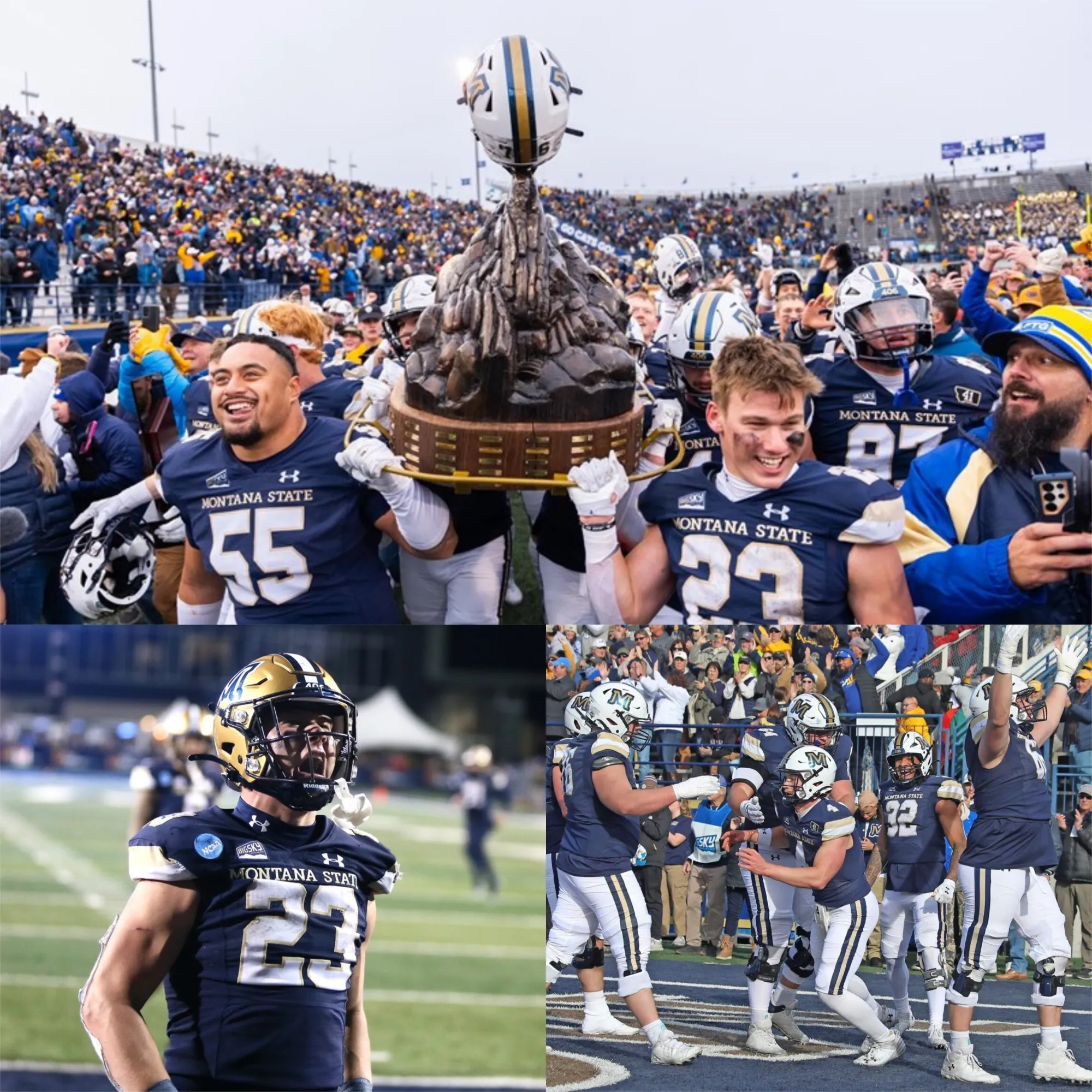 Montana State’s Quest for Perfection in the FCS Playoffs