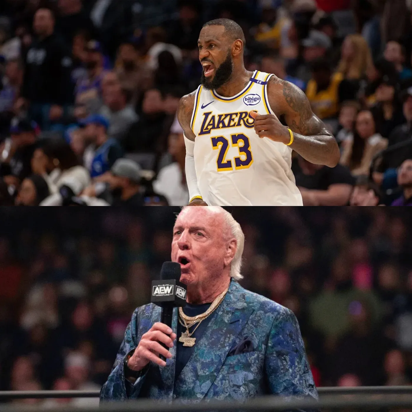 image_676929ca32a95 Ric Flair’s Shocking Shoutout to LeBron James After Lakers’ Electrifying Battle