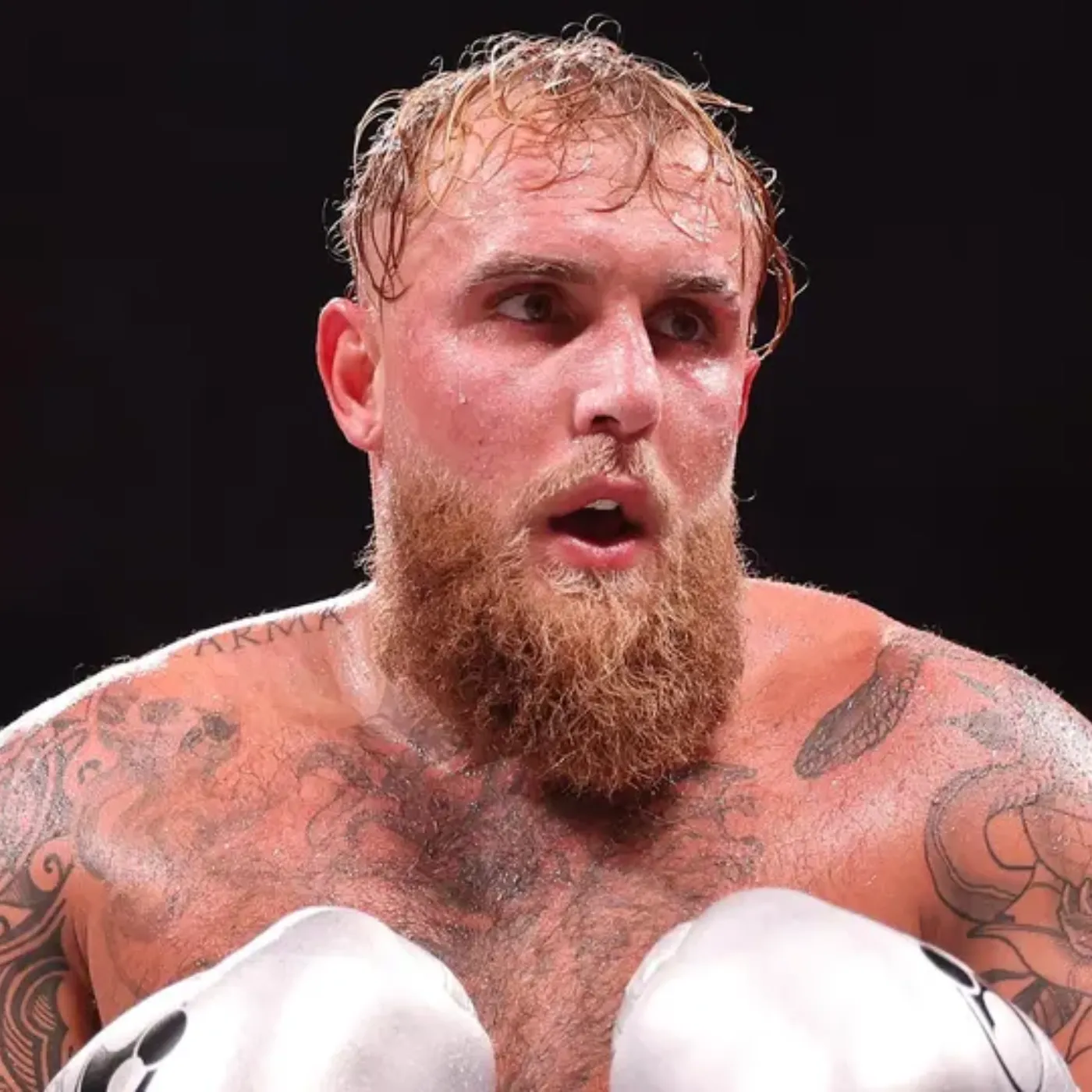 image_676a14495eba0 Jake Paul Mocks Tyson Fury After Rematch with Usyk: "Losers Are Always Losers"