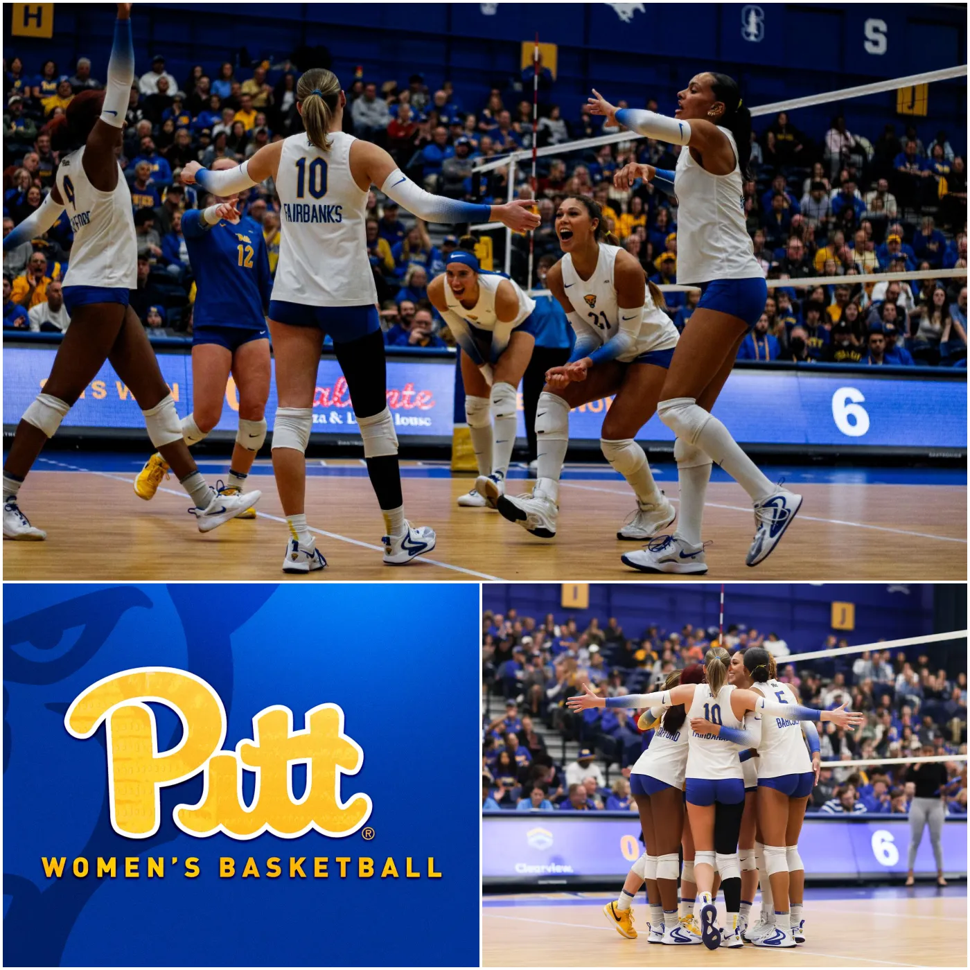 Pitt Volleyball Adds Florida State Transfer Libero Emery Dupes