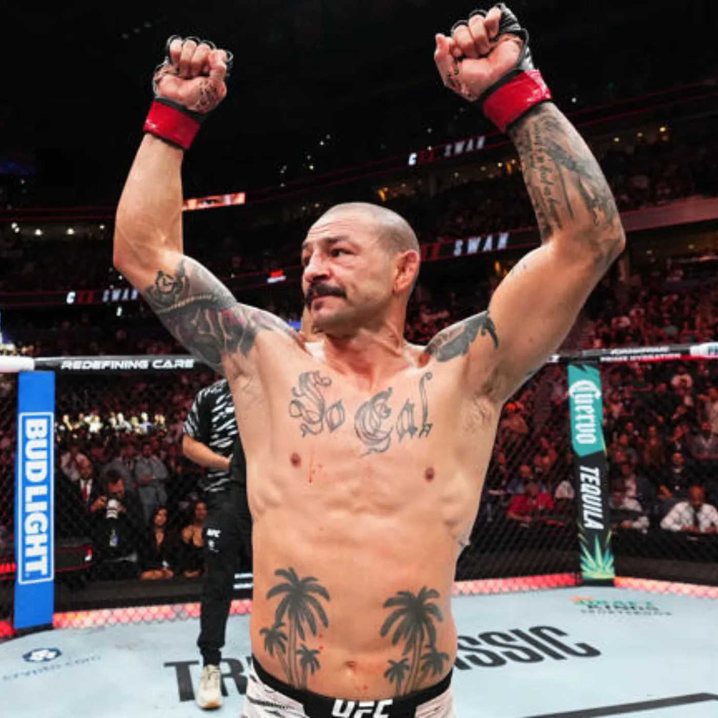 image_676a2853781f2 Cub Swanson's Shocking Victory Defies Expectations at 41