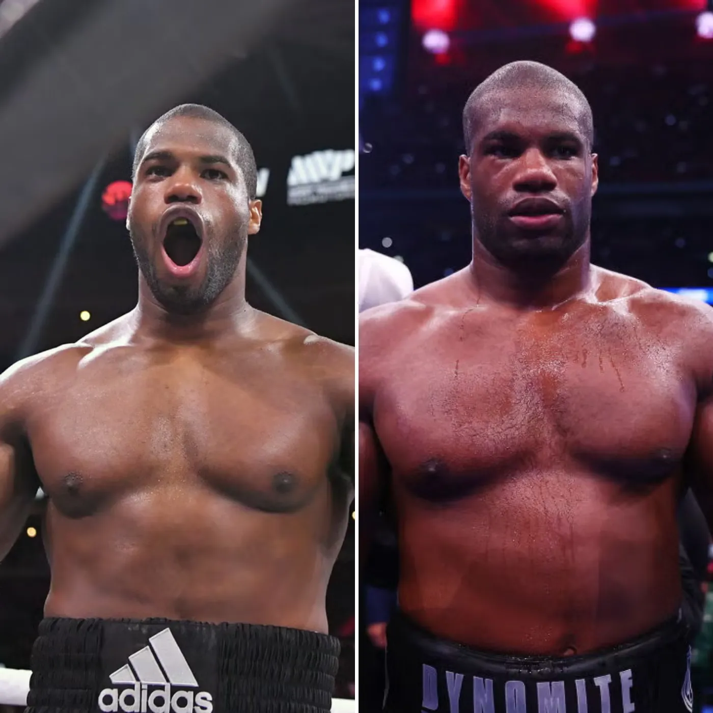 image_676a3771db63b Daniel Dubois Hijacks The Spotlight, A Shocking With Unprofessional Move That Destroys His Credibility