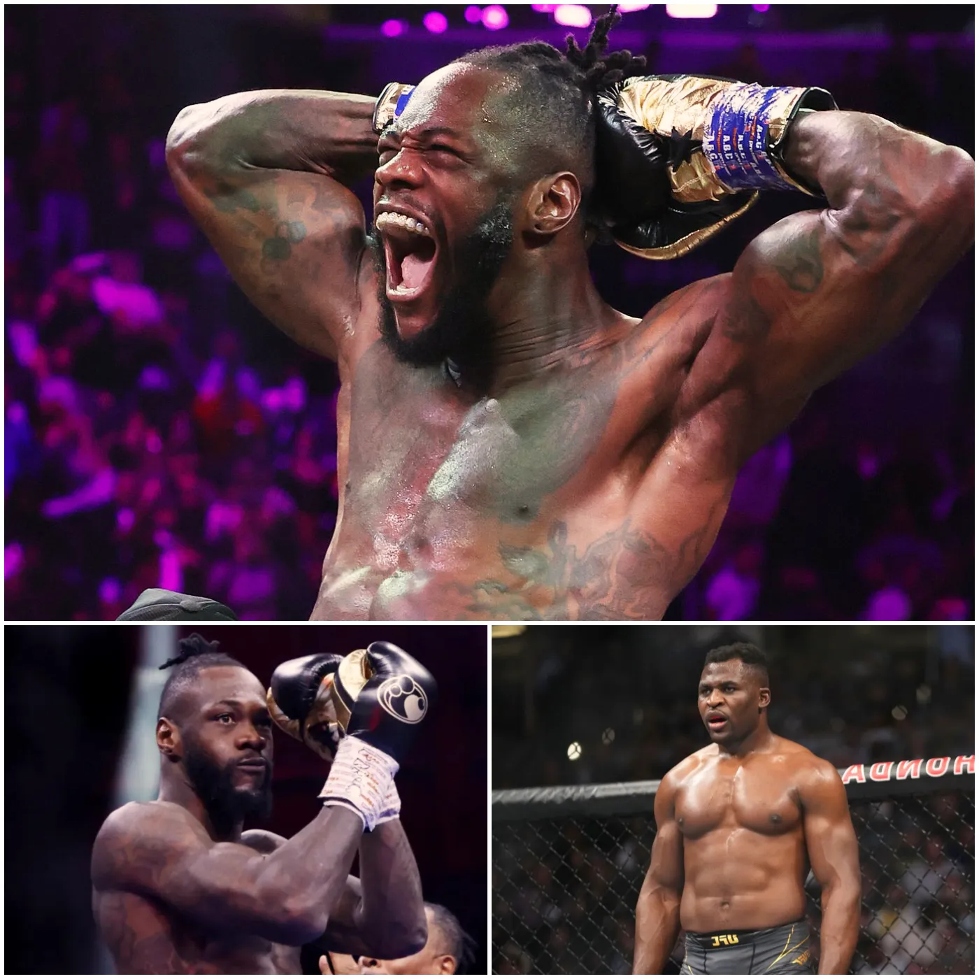 The reality of Francis Ngannou’s victory over Deontay Wilder. Read the expert’s take!