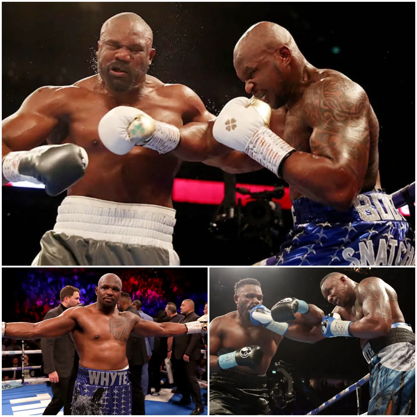 Dillian Whyte is the opponent Derek Chisora wants to face at the Royal Albert Hall in London for his 50th and last bout. Click for more!