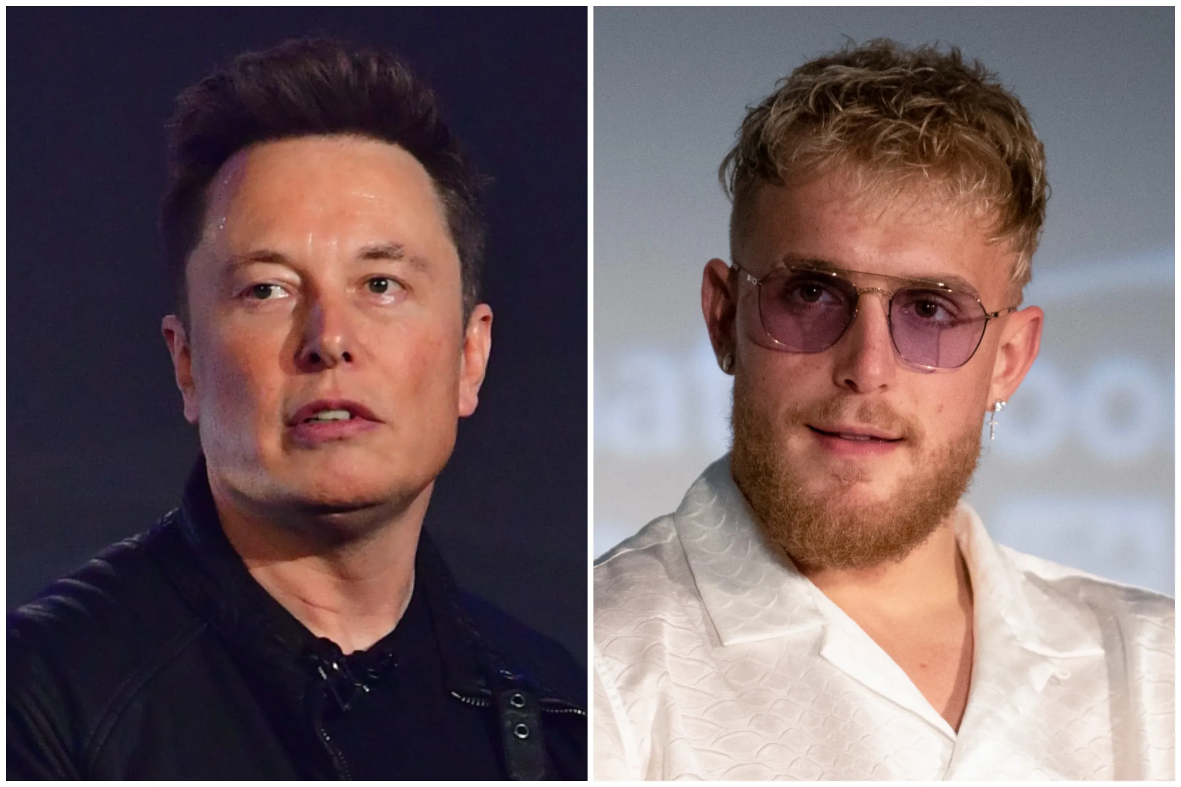 image_676d024746f3d Jake Paul announces he will fight Elon Musk in the Ring! Who will win the fight of the century?