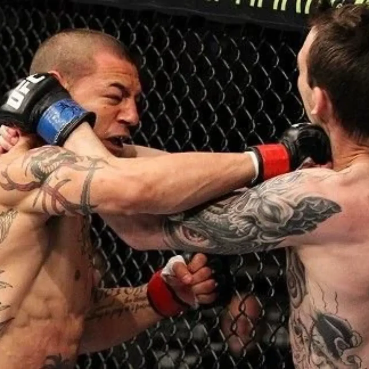 image_676e29921231b Cub Swanson's Resilient Journey From Ravages to Greatness