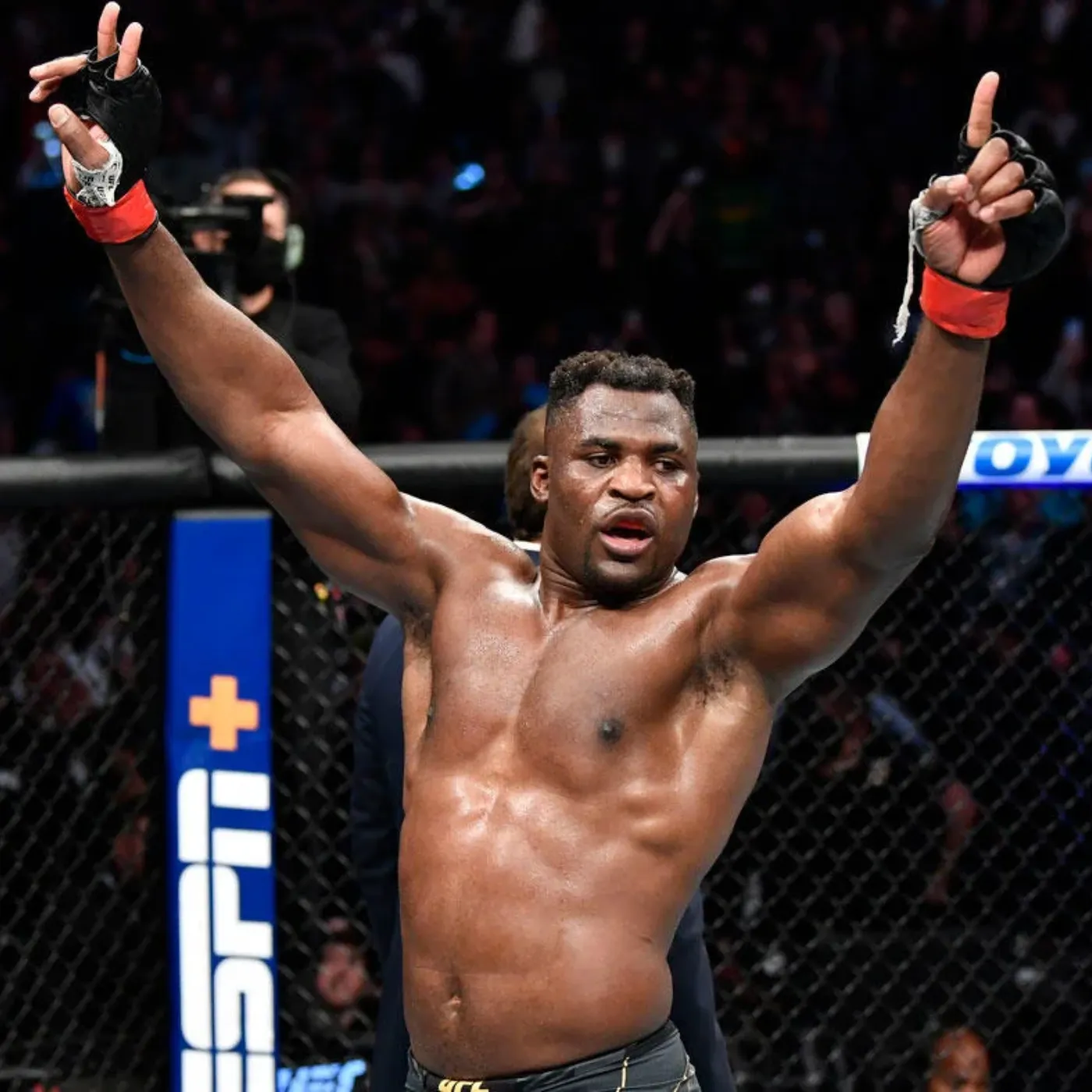 image_676e485022105 Dana White Intends to Kick Francis Ngannou Out of UFC The Thrilling Story Never Before Revealed