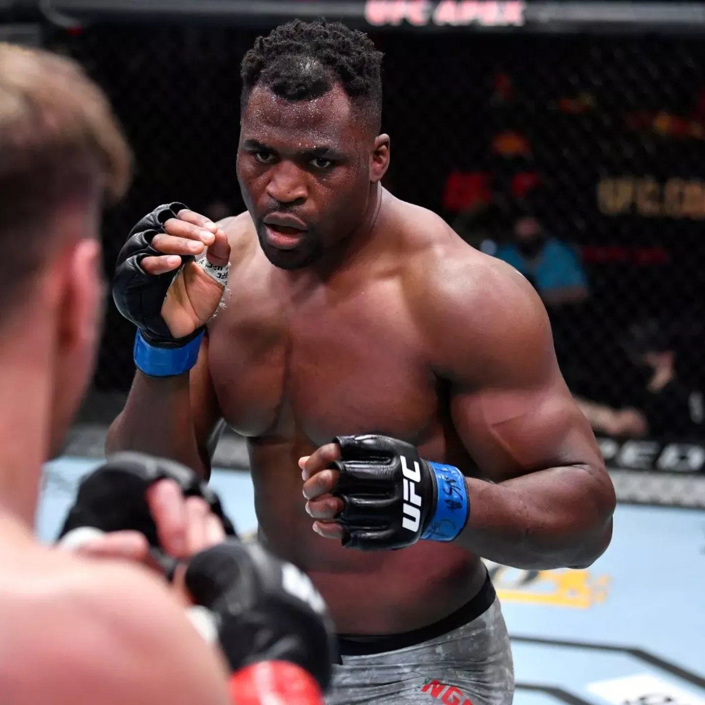 image_676e54782cfb0 Ngannou Suddenly Silent: What's Happening to Him After Many False Rumors.