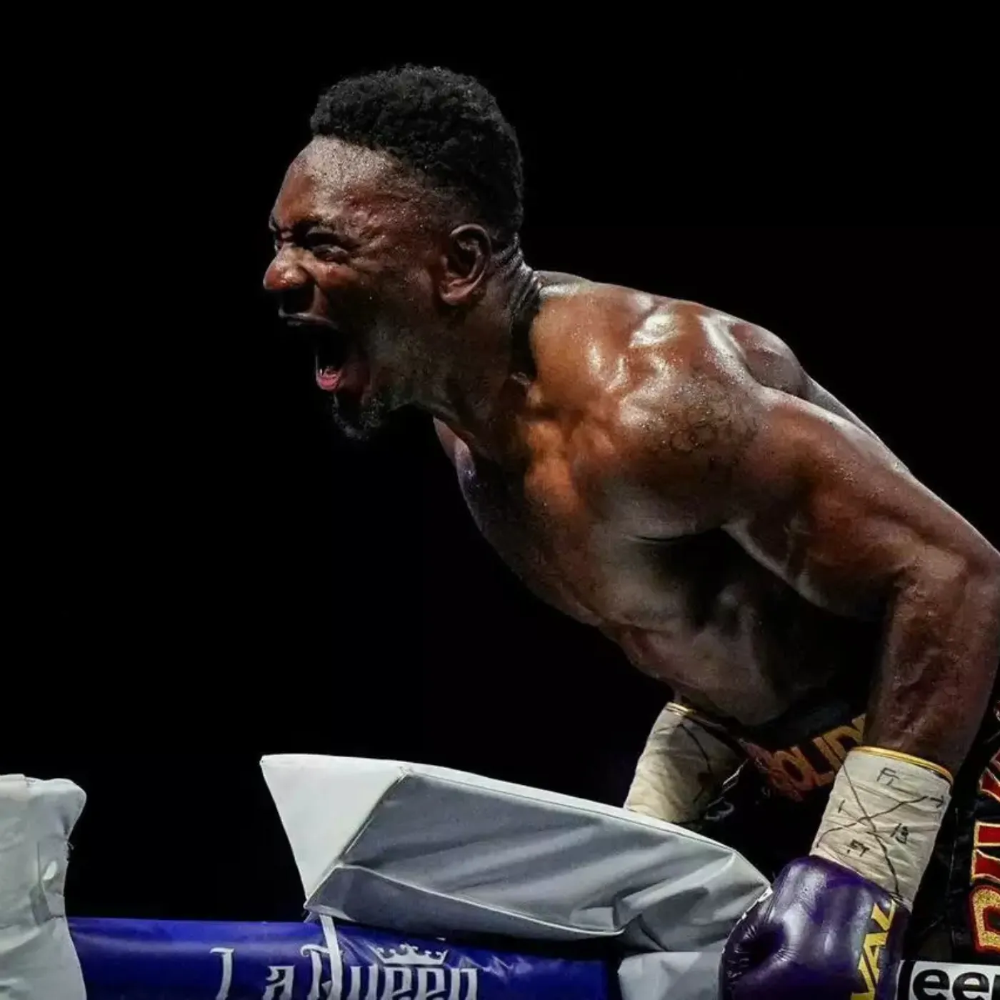 image_676e64a490fff Mbilli Unleashed The Destructive Power of Boxing’s Human Wrecking Ball