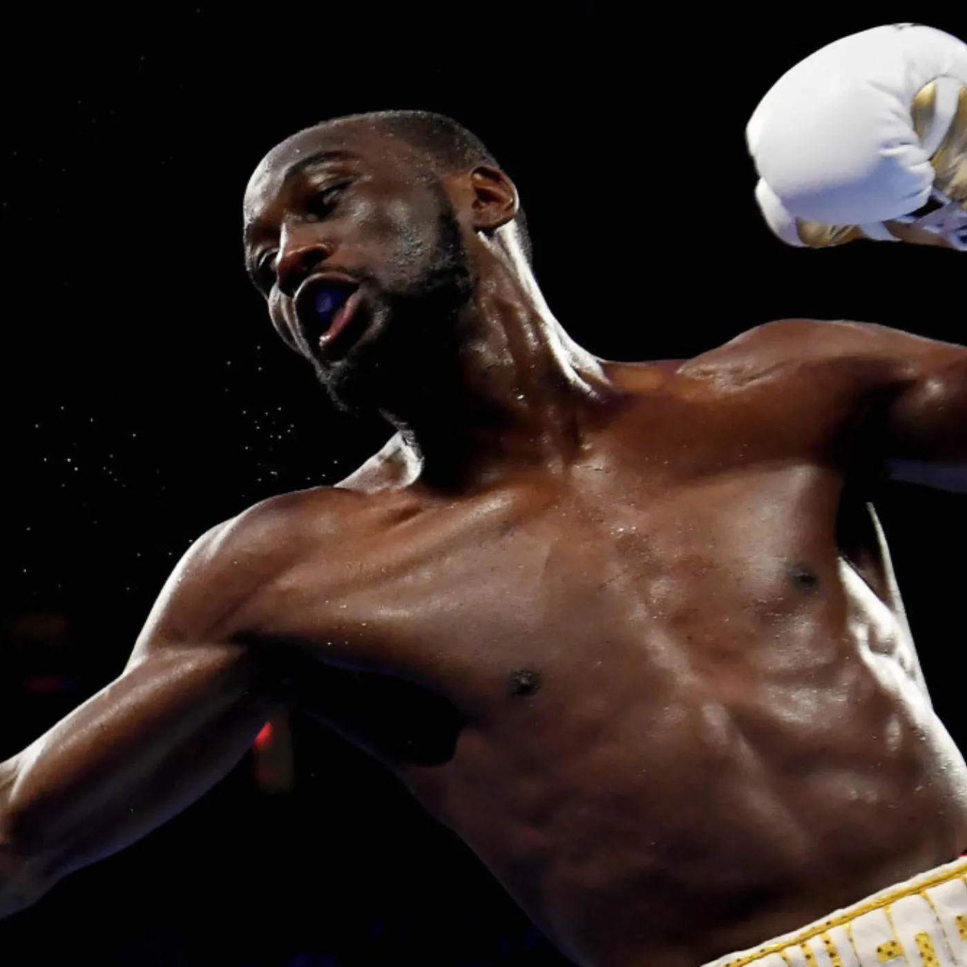 image_67725f59ae3fa Terence Crawford Faces Backlash for Allegedly Demanding an Insane $200 Million Payday