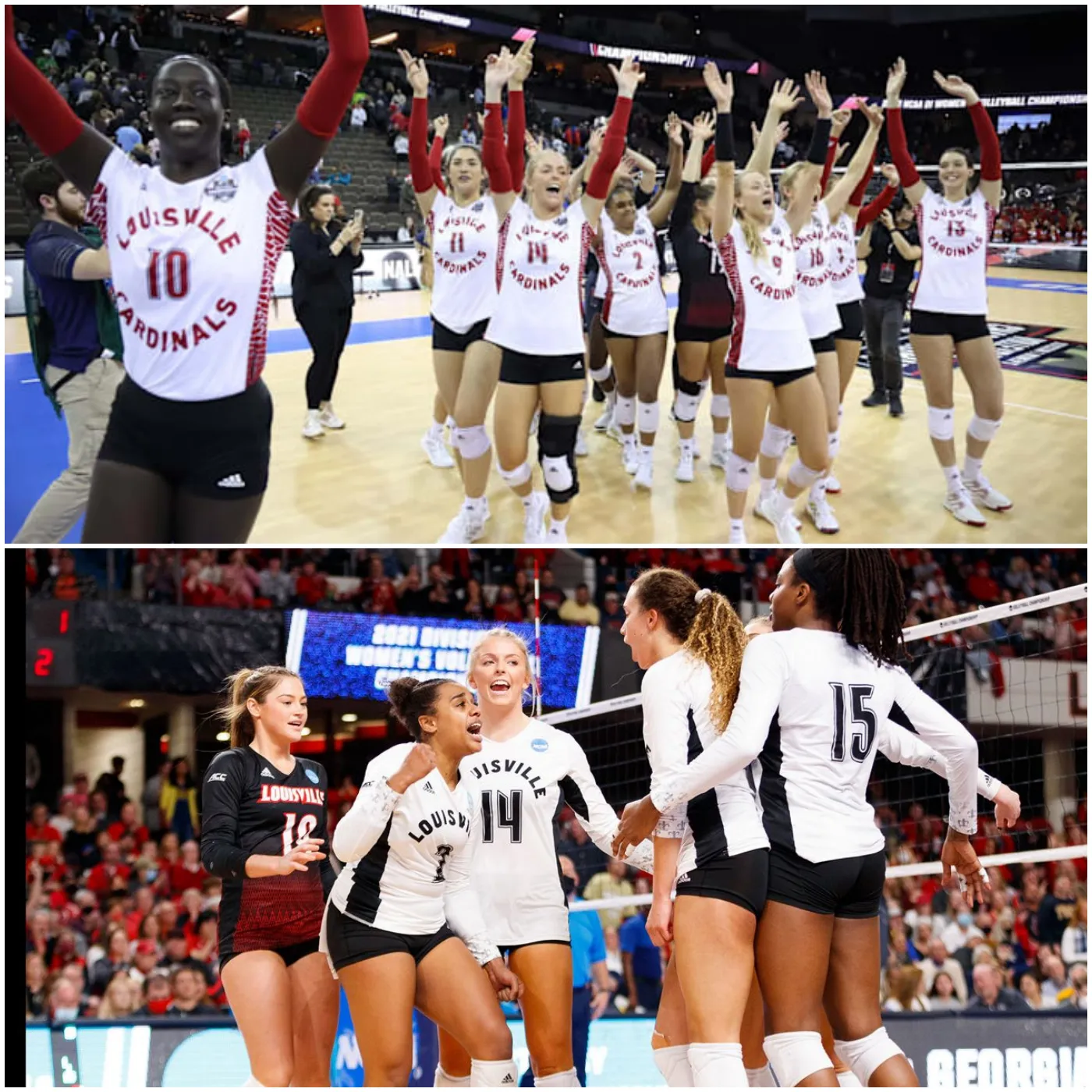 After the NCAA Volleyball Championship. Louisville and Penn State Stars Unite on One Team