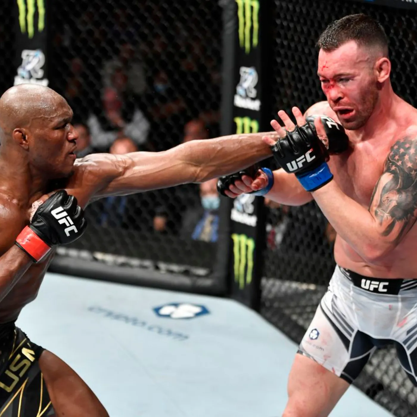 image_67737849af51d Colby Covington’s Year of Defeat Exposed with a Shocking Confession That Changes Everything